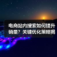 电商站内搜索如何提升销量?关键优化策略揭秘(图3) 电商站内搜索如何提升销量?关键优化策略揭秘(图3)