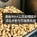 揭秘Moz工具如何提升域名分析与页面优化效果(图2) 揭秘Moz工具如何提升域名分析与页面优化效果(图2)
