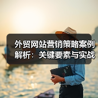 外贸网站营销策略案例解析:关键要素与实战方法(图2) 外贸网站营销策略案例解析:关键要素与实战方法(图2)
