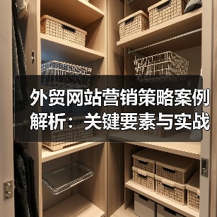 外贸网站营销策略案例解析:关键要素与实战方法(图1) 外贸网站营销策略案例解析:关键要素与实战方法(图1)