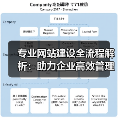 专业网站建设全流程解析:助力企业高效管理(图2) 专业网站建设全流程解析:助力企业高效管理(图2)