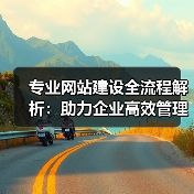 专业网站建设全流程解析:助力企业高效管理(图3) 专业网站建设全流程解析:助力企业高效管理(图3)
