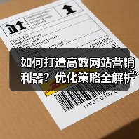 如何打造高效网站营销利器?优化策略全解析(图2) 如何打造高效网站营销利器?优化策略全解析(图2)