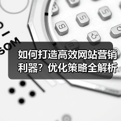 如何打造高效网站营销利器?优化策略全解析(图4) 如何打造高效网站营销利器?优化策略全解析(图4)