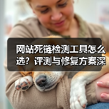 网站死链检测工具怎么选?评测与修复方案深度解析(图1) 网站死链检测工具怎么选?评测与修复方案深度解析(图1)