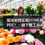 前端如何实现HTML转PDF？一键下载工具函数解析（图3）