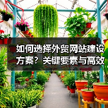 如何选择外贸网站建设方案？关键要素与高效策略解析（图4）