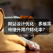 网站设计优化:多维策略提升用户转化率?(图2) 网站设计优化:多维策略提升用户转化率?(图2)