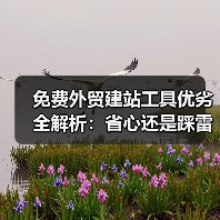 免费外贸建站工具优劣全解析:省心还是踩雷?(图4) 免费外贸建站工具优劣全解析:省心还是踩雷?(图4)