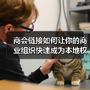 商会链接如何让你的商业组织快速成为本地权威?揭秘隐藏的影响力提升秘诀(图3) 商会链接如何让你的商业组织快速成为本地权威?揭秘隐藏的影响力提升秘诀(图3)