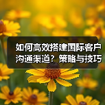 如何高效搭建国际客户沟通渠道？策略与技巧全解析