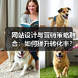 网站设计与营销策略融合:如何提升转化率?(图2) 网站设计与营销策略融合:如何提升转化率?(图2)