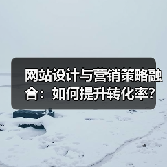 网站设计与营销策略融合:如何提升转化率?(图3) 网站设计与营销策略融合:如何提升转化率?(图3)