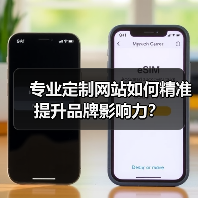 专业定制网站如何精准提升品牌影响力?(图4) 专业定制网站如何精准提升品牌影响力?(图4)