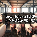 Local Schema本地结构化数据怎么用？提升搜索排名必看！（图4）
