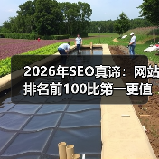 2026年SEO真谛：网站排名前100比第一更值钱（图4）