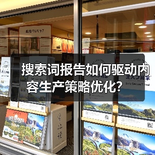 搜索词报告如何驱动内容生产策略优化？（图2）