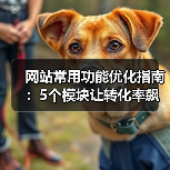 网站常用功能优化指南：5个模块让转化率飙升187%（图3）