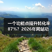 一个功能点提升转化率87%？2026年网站功能点避坑指南（图2）