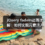 jQuery fadeIn动画详解：如何实现元素淡入？（图3）