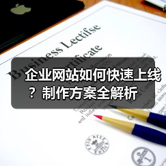 企业网站如何快速上线?制作方案全解析(图4) 企业网站如何快速上线?制作方案全解析(图4)