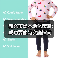 新兴市场本地化策略:成功要素与实施指南(图1) 新兴市场本地化策略:成功要素与实施指南(图1)