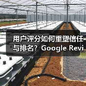 用户评分如何重塑信任与排名?Google Reviews的真相揭秘(图2) 用户评分如何重塑信任与排名?Google Reviews的真相揭秘(图2)