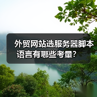 外贸网站选服务器脚本语言有哪些考量?(图2) 外贸网站选服务器脚本语言有哪些考量?(图2)