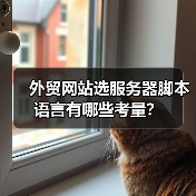 外贸网站选服务器脚本语言有哪些考量?(图3) 外贸网站选服务器脚本语言有哪些考量?(图3)