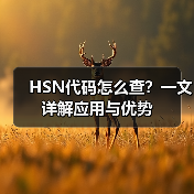 HSN代码怎么查?一文详解应用与优势(图4) HSN代码怎么查?一文详解应用与优势(图4)
