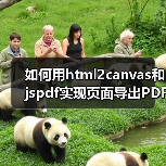 如何用html2canvas和jspdf实现页面导出PDF?(图2) 如何用html2canvas和jspdf实现页面导出PDF?(图2)