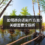 如何选合适制作方案？关键因素全解析（图2）