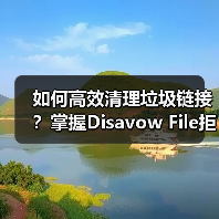 如何高效清理垃圾链接?掌握Disavow File拒绝文件的正确用法(图3) 如何高效清理垃圾链接?掌握Disavow File拒绝文件的正确用法(图3)