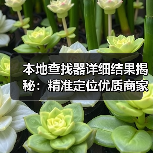 本地查找器详细结果揭秘：精准定位优质商家的高效方法（图4）