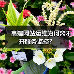 高端网站运维为何离不开服务监控？（图4）
