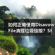 如何正确使用Disavow File清理垃圾链接?SEO优化必看指南(图1) 如何正确使用Disavow File清理垃圾链接?SEO优化必看指南(图1)