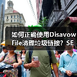 如何正确使用Disavow File清理垃圾链接?SEO优化必看指南(图4) 如何正确使用Disavow File清理垃圾链接?SEO优化必看指南(图4)