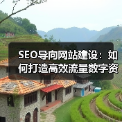SEO导向网站建设：如何打造高效流量数字资产？