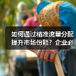 如何通过精准流量分配提升市场份额?企业必备策略揭秘(图4) 如何通过精准流量分配提升市场份额?企业必备策略揭秘(图4)
