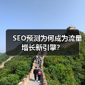 SEO预测为何成为流量增长新引擎？