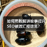 如何用数据讲故事提升SEO绩效汇报效果?(图2) 如何用数据讲故事提升SEO绩效汇报效果?(图2)