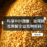 科学ROI测量:如何精准拆解企业盈利密码?(图1) 科学ROI测量:如何精准拆解企业盈利密码?(图1)