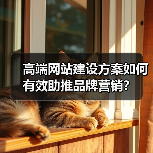 高端网站建设方案如何有效助推品牌营销?(图2) 高端网站建设方案如何有效助推品牌营销?(图2)