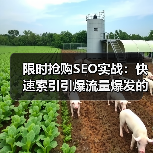 限时抢购SEO实战:快速索引引爆流量爆发的秘诀(图2) 限时抢购SEO实战:快速索引引爆流量爆发的秘诀(图2)