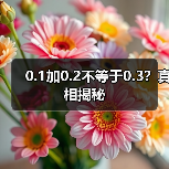 0.1加0.2不等于0.3?真相揭秘(图4) 0.1加0.2不等于0.3?真相揭秘(图4)