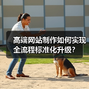 高端网站制作如何实现全流程标准化升级?(图2) 高端网站制作如何实现全流程标准化升级?(图2)