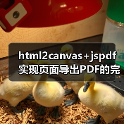 html2canvas+jspdf实现页面导出PDF的完整解决方案（图3）