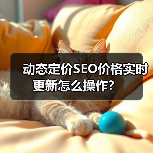 动态定价SEO价格实时更新怎么操作?(图1) 动态定价SEO价格实时更新怎么操作?(图1)