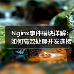 Nginx事件模块详解:如何高效处理并发连接?(图4) Nginx事件模块详解:如何高效处理并发连接?(图4)