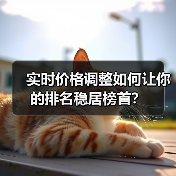 实时价格调整如何让你的排名稳居榜首?(图3) 实时价格调整如何让你的排名稳居榜首?(图3)
